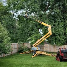 Best Emergency Tree Removal  in Newstle, CA